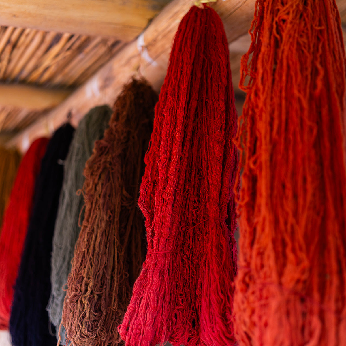 A colorful array of naturally dyed wool yarns, the essence of Orange Inca’s sustainable luxury.